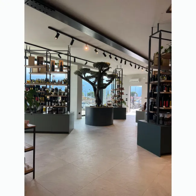 Progetto oleificio a Gargnano